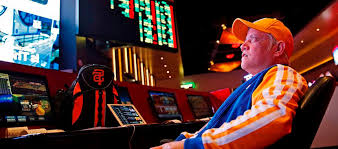 Онлайн казино Enomo Casino
